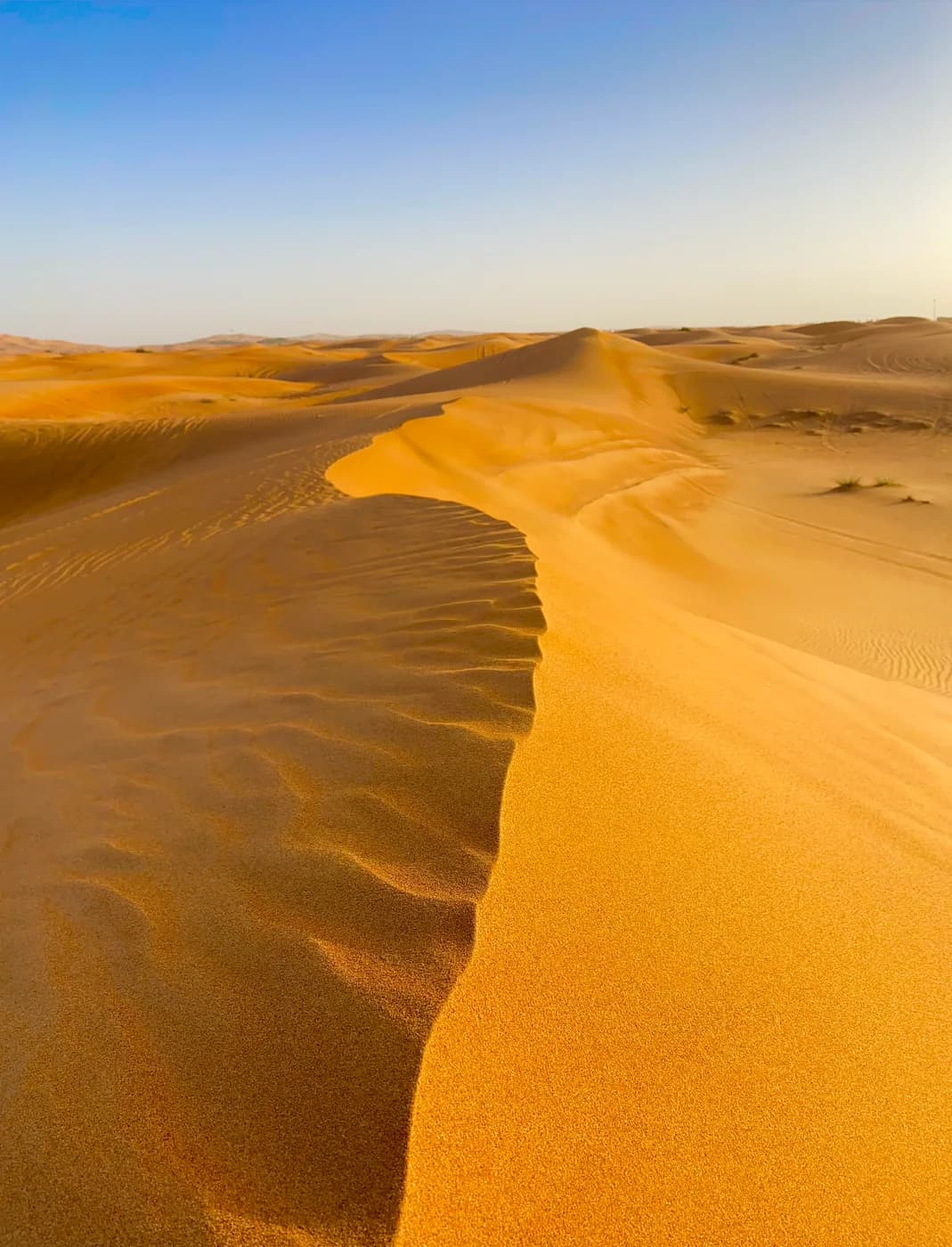 United Arab Emirates travel photograph 4