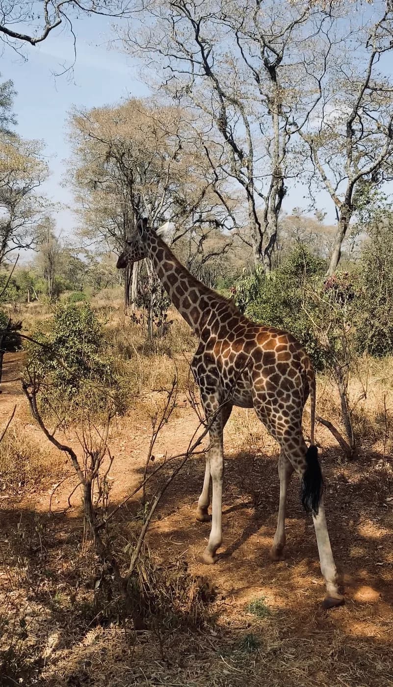 Kenya travel photograph 4
