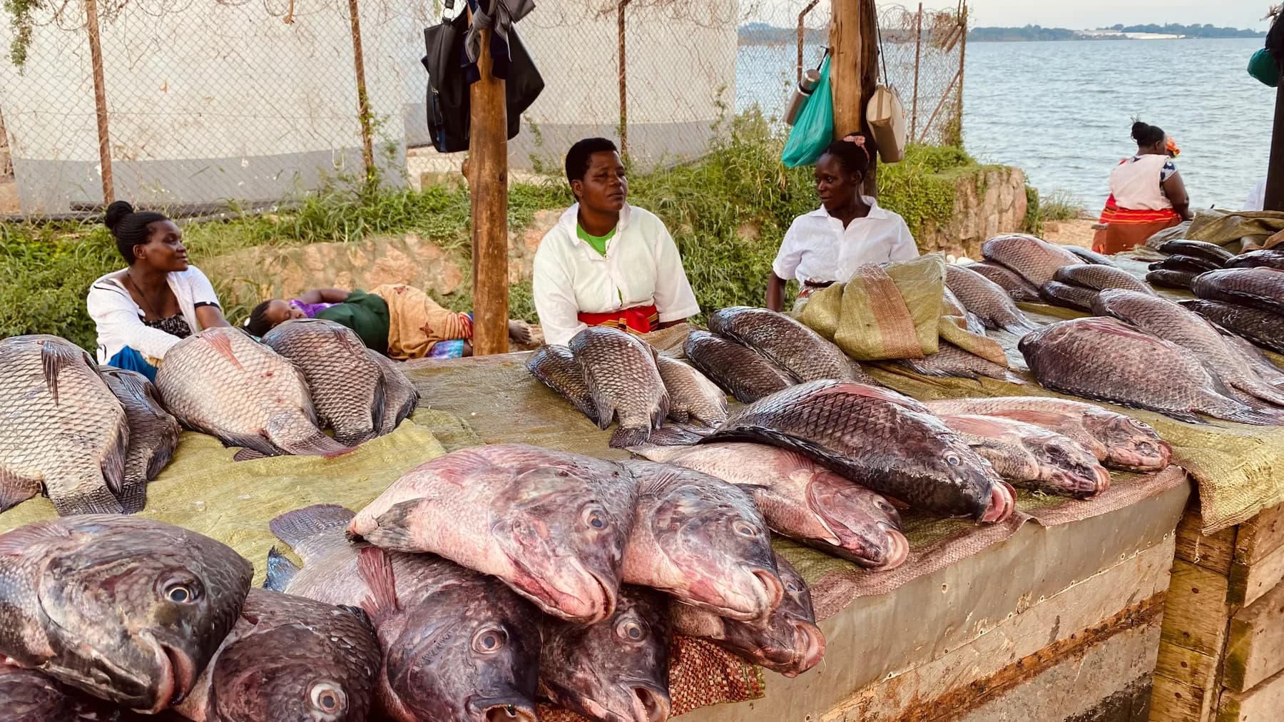 Uganda travel photograph 8