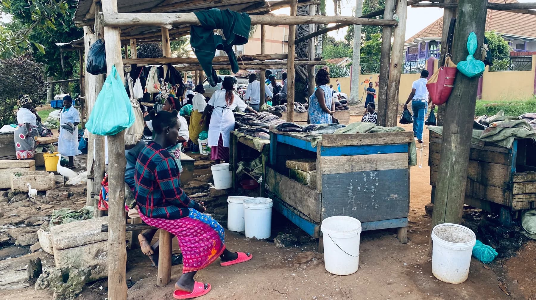 Uganda travel photograph 9
