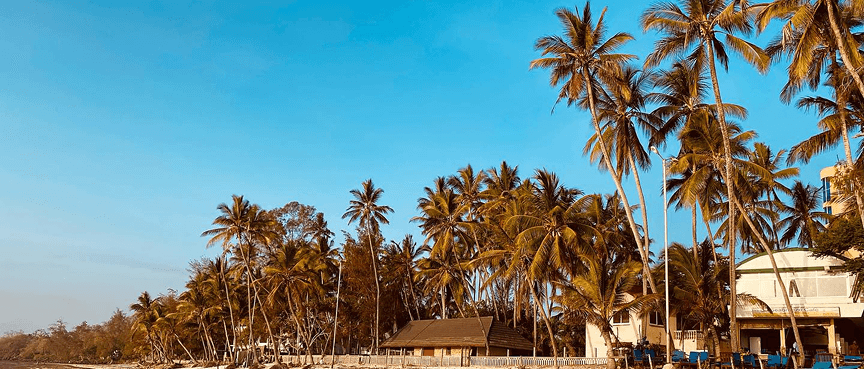Story-Led Private Trips